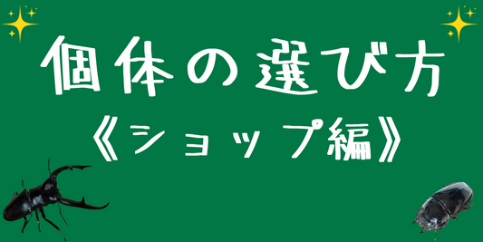 《個体はどれでもいいの?》
